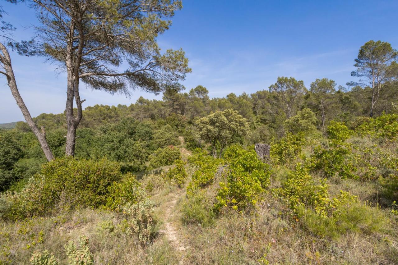 Moulézan Petit Paradis Garrigue 빌라 외부 사진